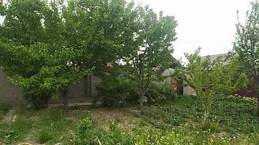 Куплю дом: Продажа коттеджей и домов — 6