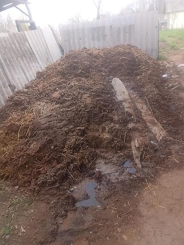 продаю фермы: Навоз/органическое удобрение для огорода и сада - Натуральный навоз — 1