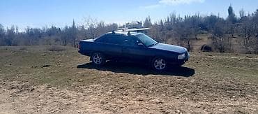 рекстон авто: Audi 100: 1989 г., 1.8 л, Кол менен иштөөчү, Бензин, Седан — 7