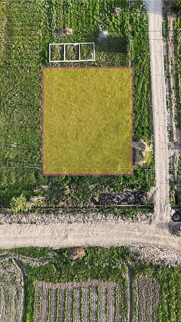 Земельные участки: 6 соток, Договор купли-продажи, Красная книга — 2