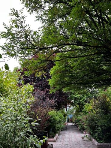 квартира в караколе: Коттедж, ХАН ЦО Золотые пески, Бостери, Детская площадка, Парковка, стоянка, Охраняемая территория — 3