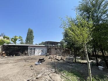 Недвижимость: Продаётся дом с участком. Срочно - Просторный двор с воротами и — 6