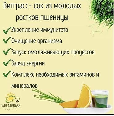 жылга сай арча бешик: Витаминдер комплекси, Иммунитетти бекемдөө үчүн, Универсалдуу, Суюктук — 1