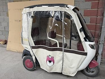 мото желмая: Электрический трёхколёсный скутер с крытым кузовом (кабина) - — 4