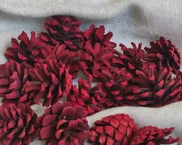 Шишки крашенные Набор 6 шт Размер 3-6 см Матовое покрытие Самовывоз 8