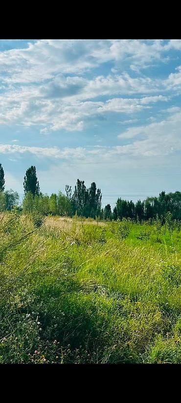 бишкек участка: 36 соток, Курулуш, Кызыл китеп — 5