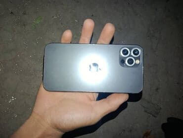 задние камеры: IPhone 12 Pro, Space Gray — 3