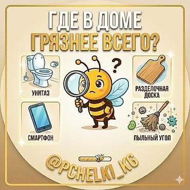 услуга уборка офиса: Профессиональный клининг и уют от «PCHELKI_KG» Чистота — это не — 3