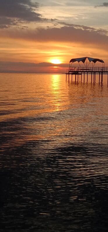 долгосрочные квартиры в аламедин 1: 2 бөлмө, Менчик ээси, Чогуу жашоосу жок, Жарым -жартылай эмереги бар — 3