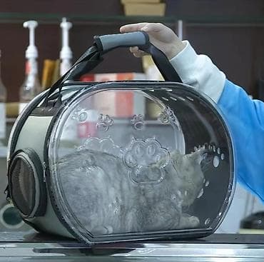 Үй жаныбарлары: Зоотовары. животные. Переноска номер 3 размер 66.47.46 контейнер для — 10