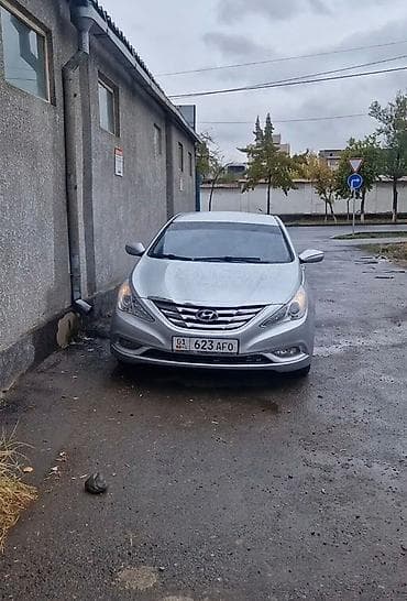 Hyundai Sonata: 2009 г., Автомат, Бензин, Седан