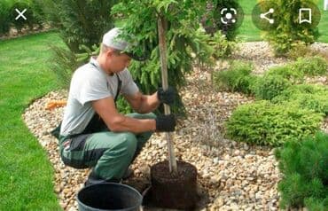 смета на отделочные работы бишкек: Авто полив. Система Hunter’ Ландшафтный дизайн .3д проектирование — 1