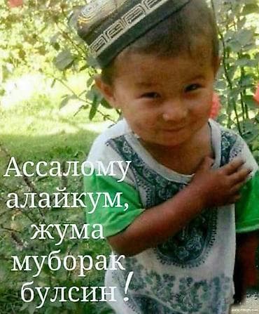 страительный леса: 16 метрга 7 метр уй куриш керак бош усталар езилар Фундамент, девол — 1
