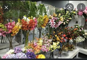 цветы домашнии: Организация мероприятий | Букеты, флористика — 4