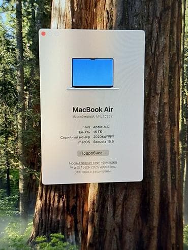 di box: Для программирования, Б/у, Apple M4, ОЗУ, RAM: 16 ГБ, В рассрочку — 8