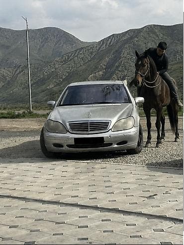 e55 compressor: Mercedes-Benz S-Class: 1998 г., 4.3 л, Автомат, Бензин, Седан — 4