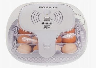 инкубационные яица: Инкубатор на 16 яиц #Инкубатор #БизнесИнкубатор — 8