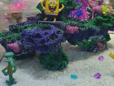 Мышыктар: Аквариум 30 литров с дизайном спанч Боб — 5