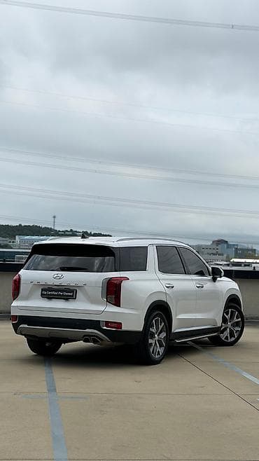 миша: Hyundai Palisade: 2020 г., 2.2 л, Автомат, Дизель, Внедорожник — 5