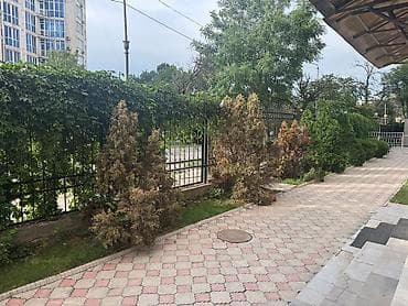 Кыймылсыз мүлк: Кеңселерди ижаралоо, 136 м², Турак комплексинде, Тоолор көрүнүп турат, 1-катар, Жабдуулары менен — 5