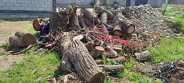 Все для дома и сада: Дрова — 3