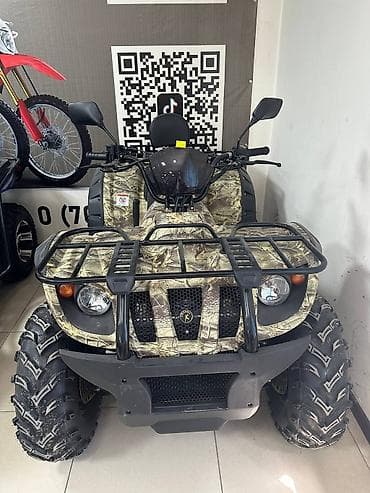 обмен на квадроцикл: Квадроциклы для бездорожья — утилитарные и туристические модели — 1