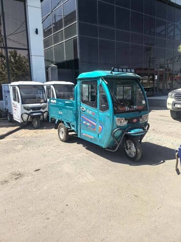 кофры для мотоцикла: Легкий грузовик — 8