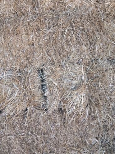 Продаю пшеничную солому цена 130 сом за тюк,в наличии имеется 1000