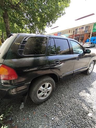 машина туксон: Hyundai Santa Fe: 2002 г., 2.4 л, Автомат, Бензин, Кроссовер — 5