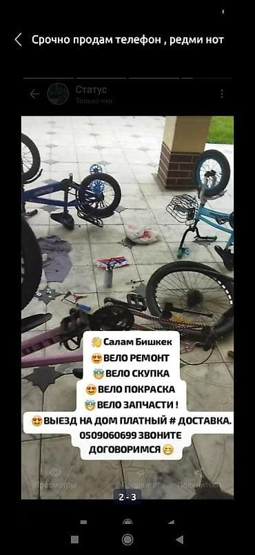 кызыл кия кыз: Өспүрүм балдар үчүн велосипед, Колдонулган — 1