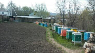 часы для дома бишкек: Продается мед горный.
С Белогорского ущелья — 5