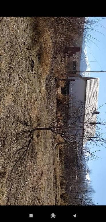 куплю участок с времянкой: 15 соток, Для строительства, Договор дарения — 8