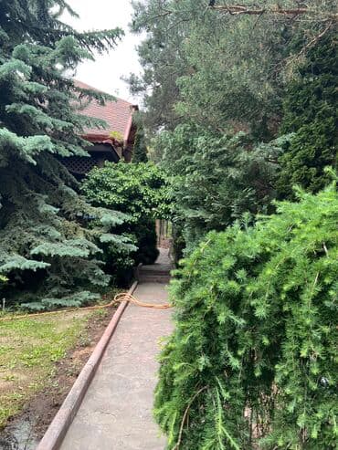 коттеджный дом: Коттедж, Солнышко ЦО Солнышко, Чок-Тал, Парковка, стоянка, Детская площадка, Закрытый пляж — 1