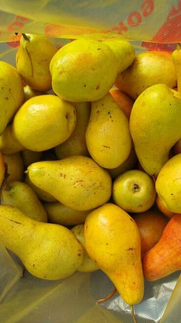 купить бумагу снегурочка оптом: Груши — 2