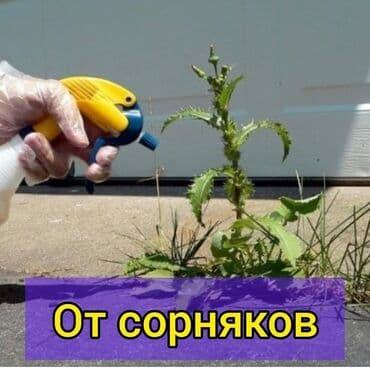 Обработка участка от сорняков at lalafo.kg Обработка участка от сорняков
