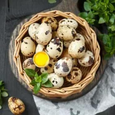 утята муларды купить: Продаю суточных перепелят Техас и Финикс под заказ. заказывать — 4