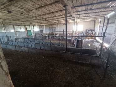 дом в районе кызыл аскер: Продаю Кошара, 600 соток, Действующий, С оборудованием, Электричество, Скважина — 5