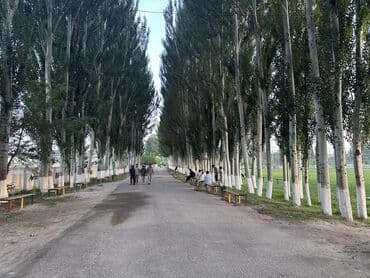 земельный дом ош: 180 м², 6 комнат, Утепленный, Бронированные двери, Видеонаблюдение — 15