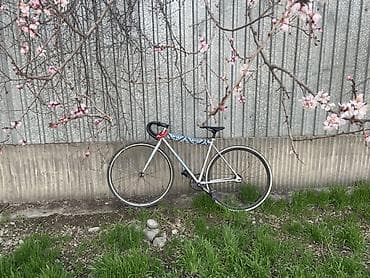 фикс сингл спид: Городской велосипед, Рама S (145 - 165 см), Б/у — 1