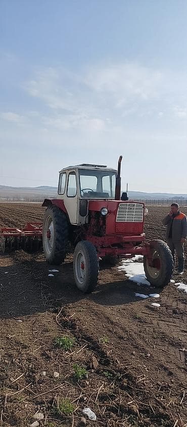купить трактор мтз из европы: Модель: Другие тракторы МТЗ, Б/у — 1
