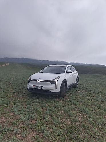 sm 5: Weltmeister EX5, 2022 г., 107000 км, В наличии — 2