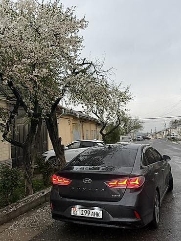 Hyundai: Hyundai Sonata: 2018 г., 2 л, Автомат, Гибрид, Седан — 8