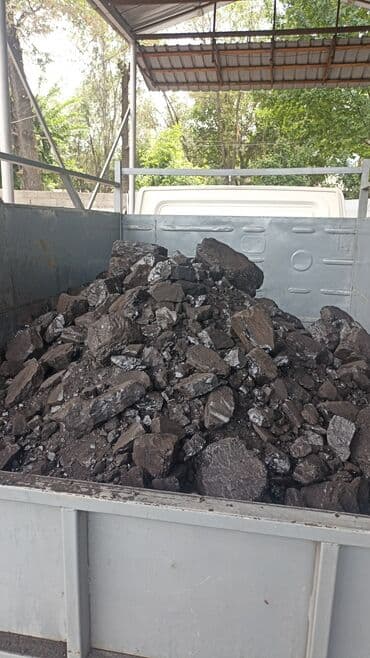 радиаторы отопления: Coal briquettes Платная доставка — 4