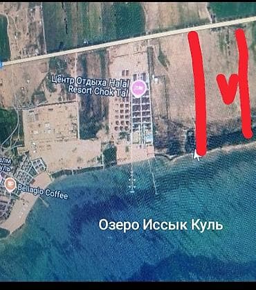 480 соток, Для бизнеса, Красная книга at lalafo.kg 480 соток, Для бизнеса, Красная книга