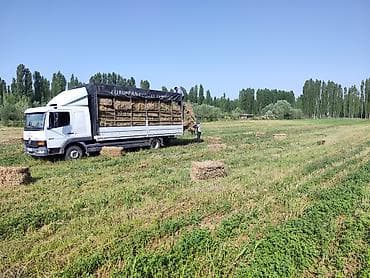 rex sprinter: Грузовик, Mercedes-Benz, Стандарт, 5 т — 2