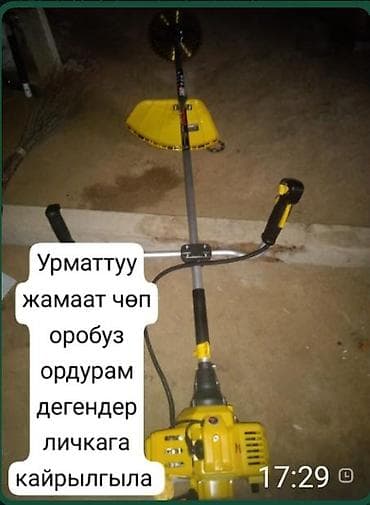 животные птицы: Бензиновый триммер/мотокоса для травы и сорняков. - Двухтактный — 1