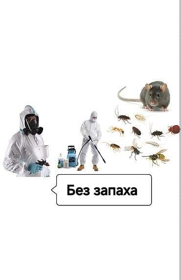 Дезинфекция, дезинсекция, | Клопы, Блохи, Тараканы, | Транспорт, Офисы, Квартиры