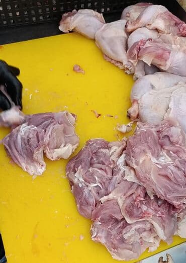 эт баасы: Тоок  — 1