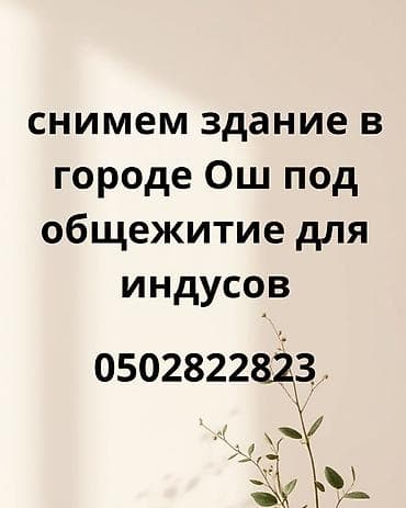 аренда помещений жалалабад: Ищем в аренду здание в городе Ош под общежитие. Требования к объекту — 1