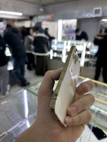 бу xr: IPhone 12 Pro, Колдонулган, 256 ГБ, Алтын, Заряддоочу түзүлүш, Коргоочу айнек, Каптама — 4